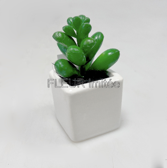Sukulent mini 10cm vč.květníku