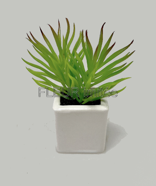 Sukulent mini 10cm vč.květníku