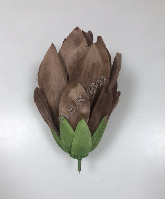 Květ protea 10/14cm 72/360