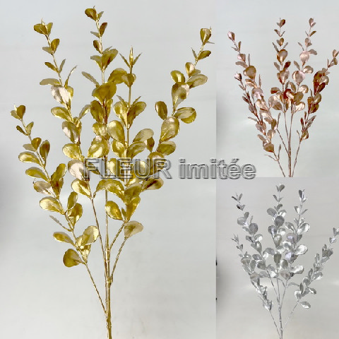 Eukalypt ván. x5 76cm 24/120