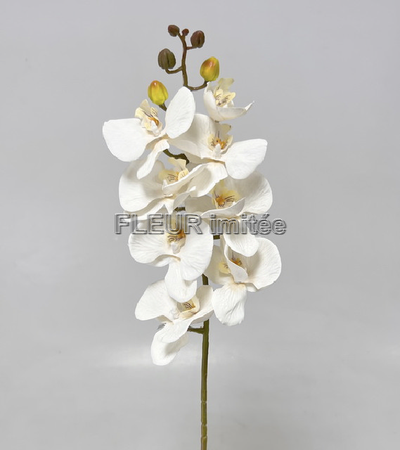 Orchidea  77cm   18264