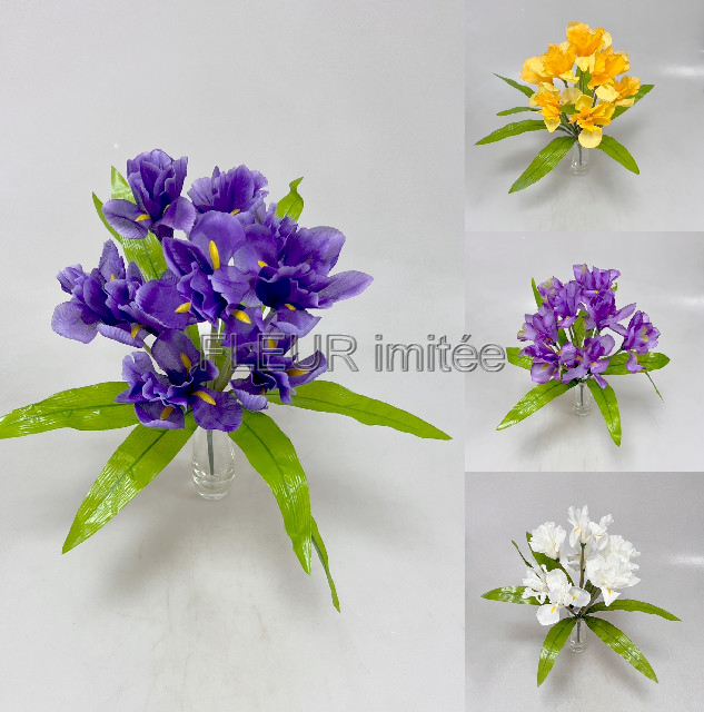 Iris x9  44cm   12/120