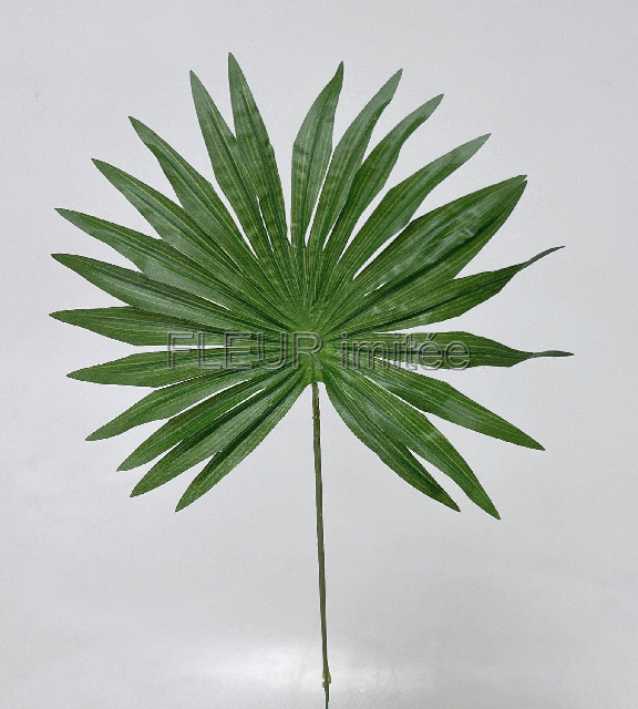 List palma 47cm 12/120