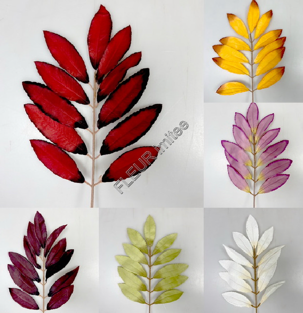 List vavřín 48cm 12/144/1440