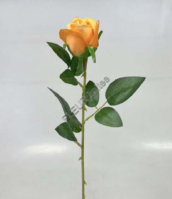 Růže x1 62cm 48/480