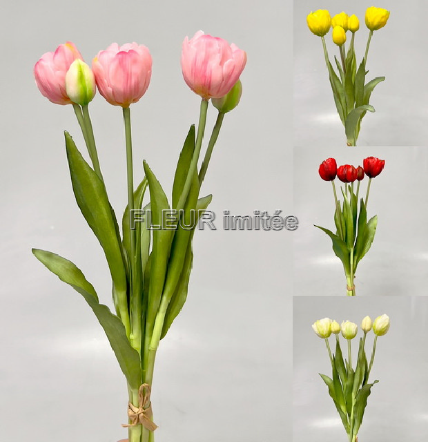 Tulipán x5 latex 12/96