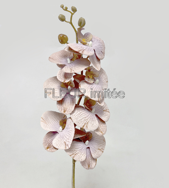 Orchidea 7kv. 90cm 24/192