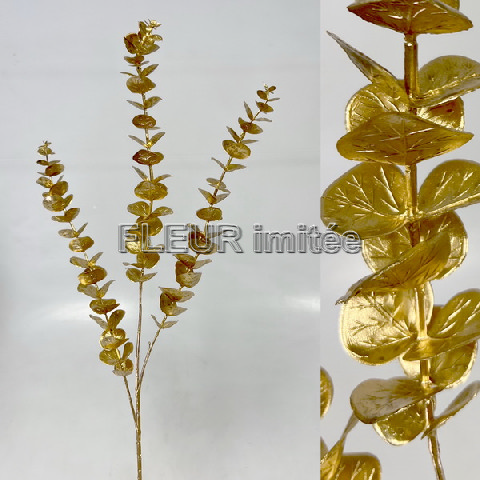 Eukalypt x3 55cm zl. 36/576