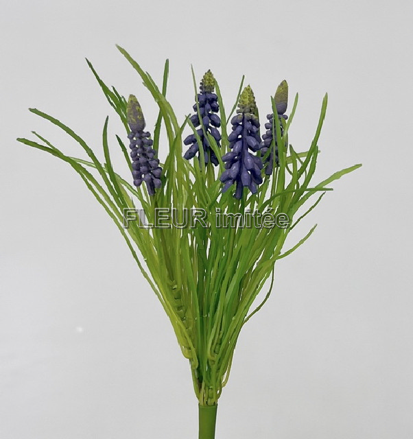 Modřenec x4 23cm 48/480