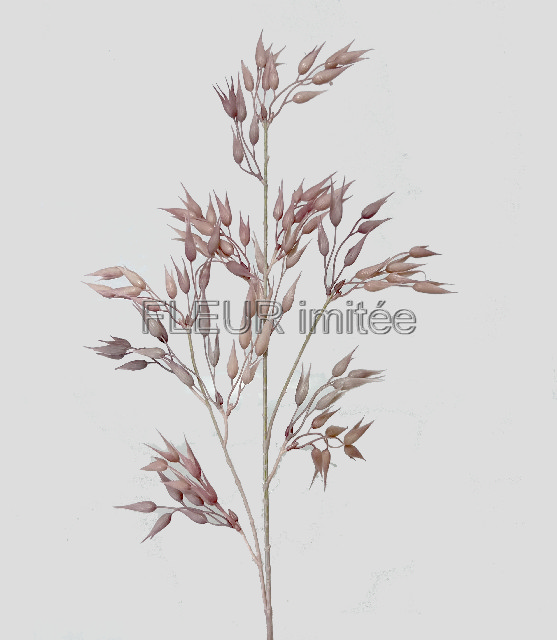 Oves 88cm 12/144