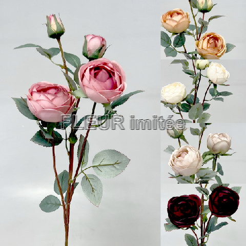 Růže x4  70cm 12/120