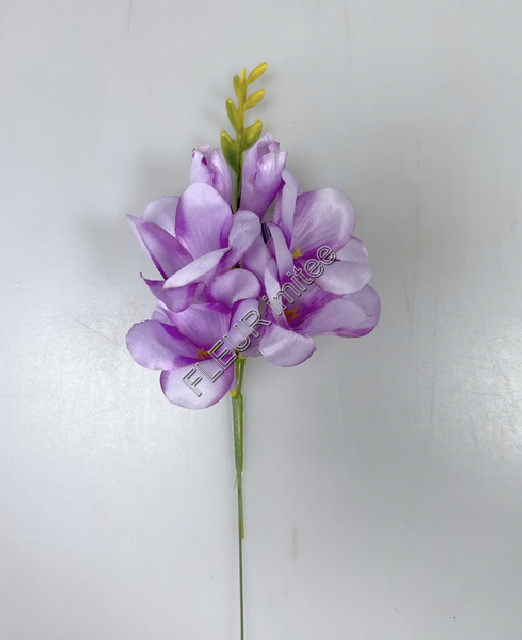 Frezie  záp.34cm  48/576