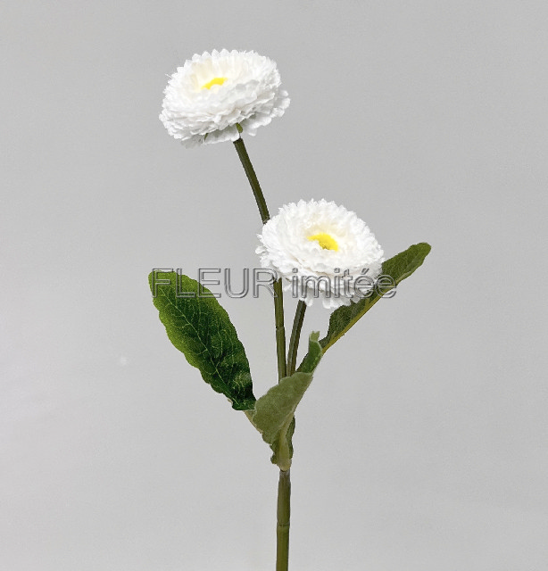 Sedmikráska x2 22cm 120/1200