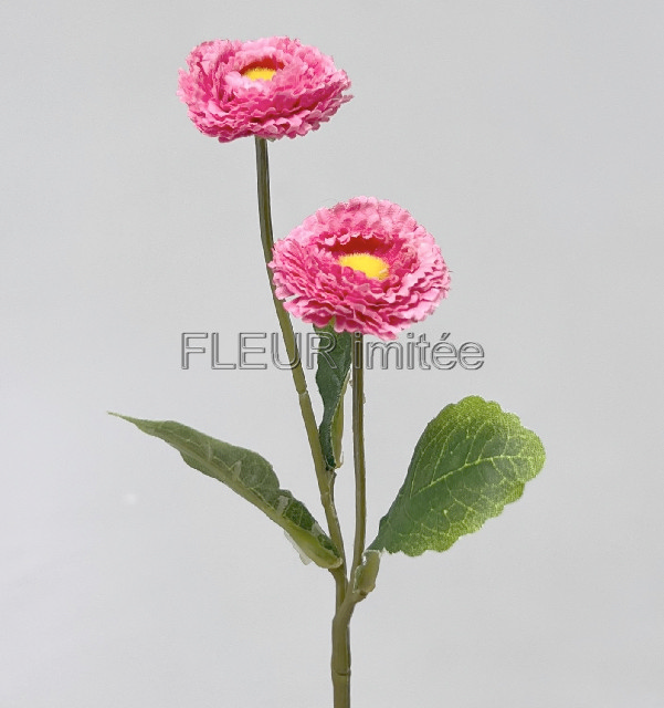 Sedmikráska x2 22cm 120/1200