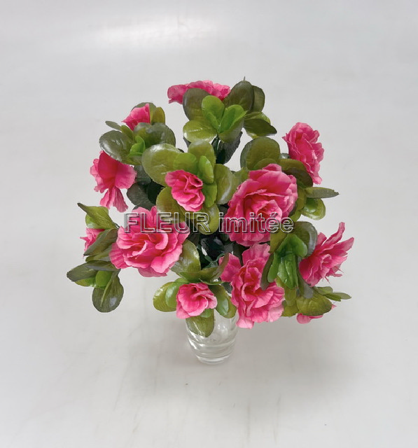 Azalka x7  25cm  24/192