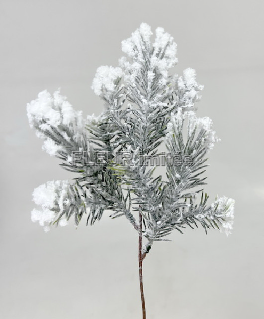 Chvojí x3 zasněž. 22cm 4/48/144