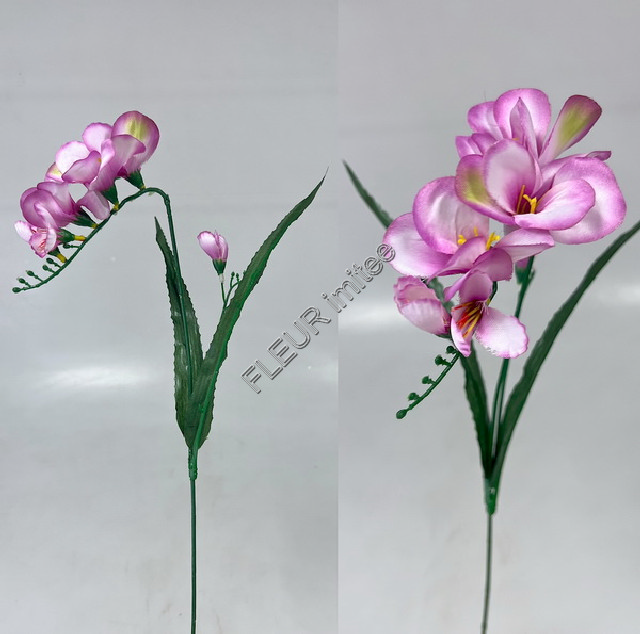 Frezie s poup. 52cm    144/1152