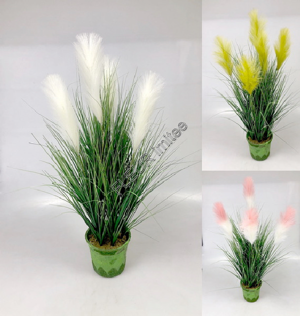 Tráva pampa 80cm v obalu