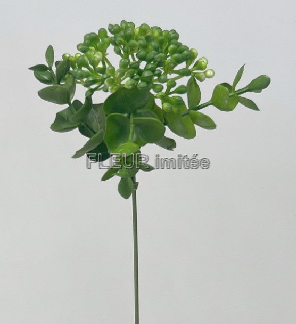 Bobulky  s eukal.28cm  12/72