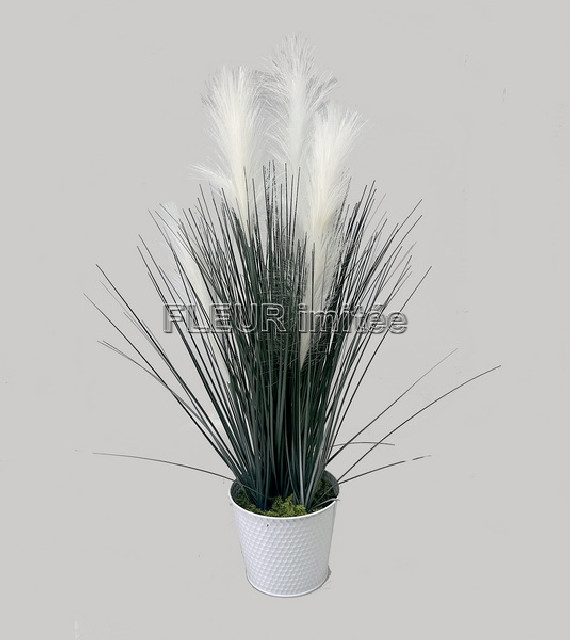 Tráva pampa  x5 74cm 1/24