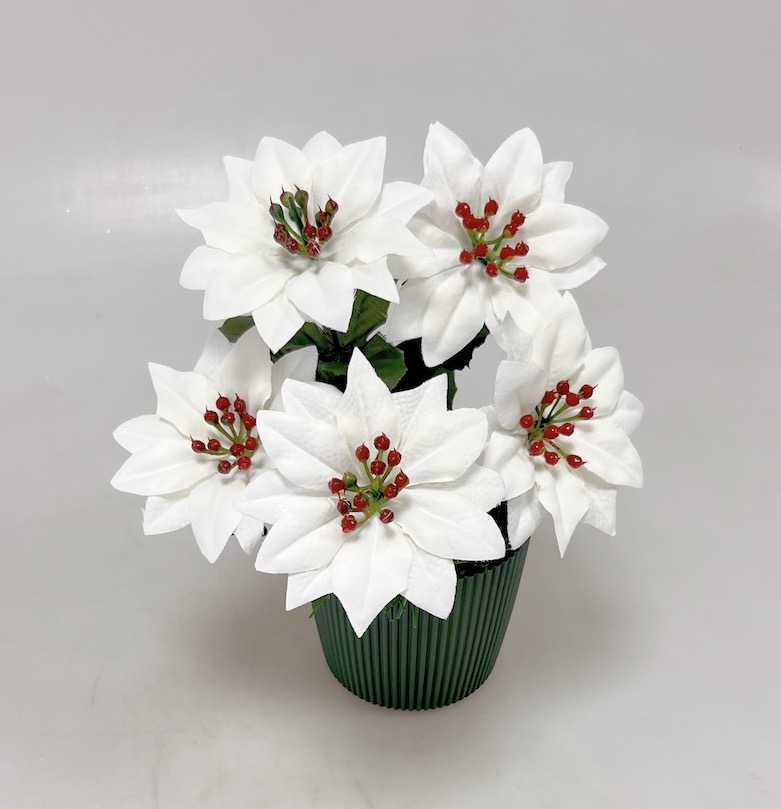 Poinsettia x5cm v květ. 25cm