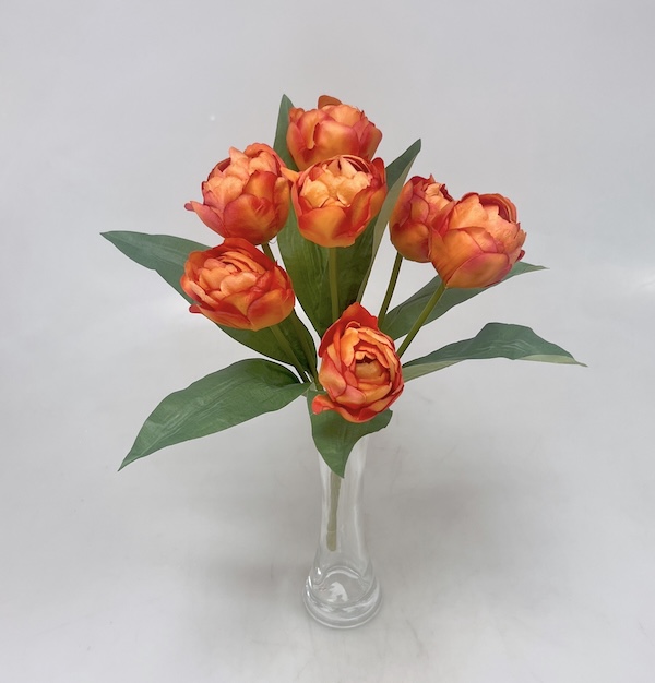 Tulipán x7  43cm 24/144