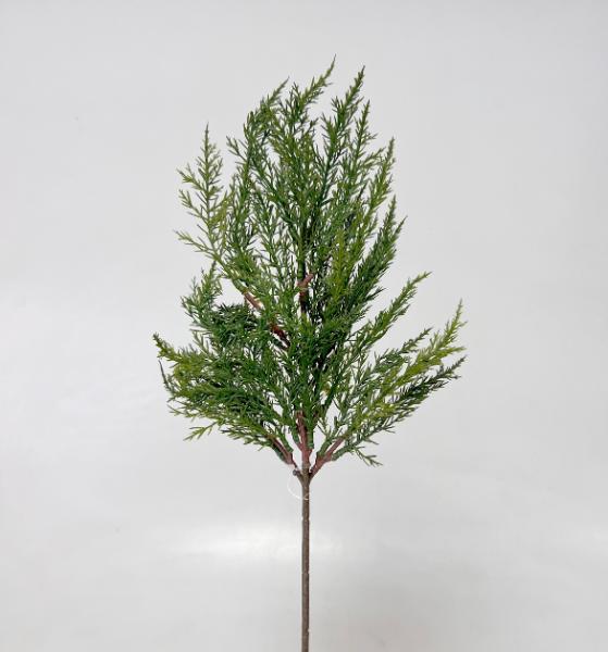 Větev tuje 48cm 48/480