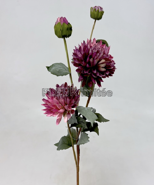 Chryzantéma x4  73cm  24/288
