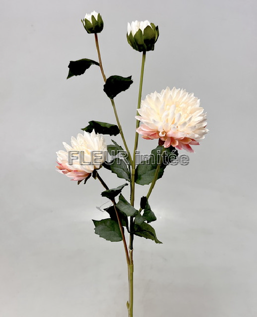 Chryzantéma x4  73cm  24/288