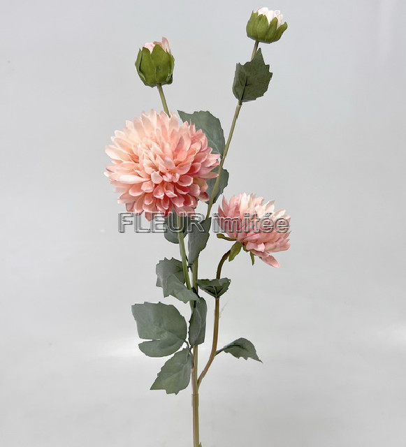 Chryzantéma x4  73cm  24/288