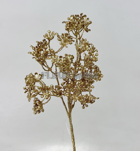 Gypsophila  zl. 35cm 12/360