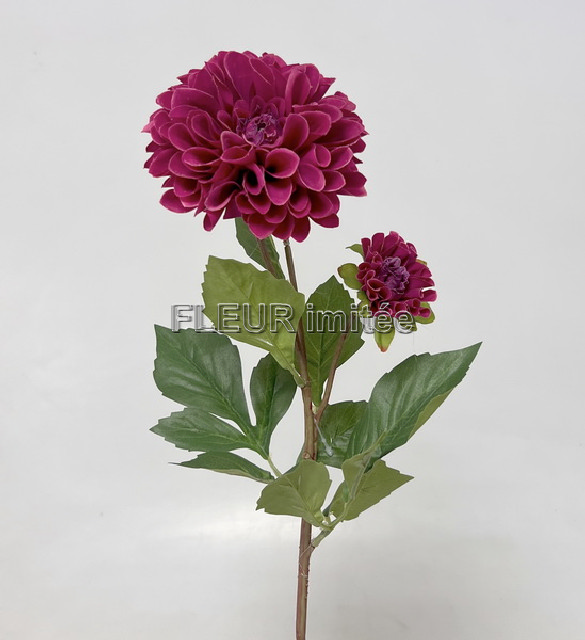 Jiřina x3 62cm 12/96