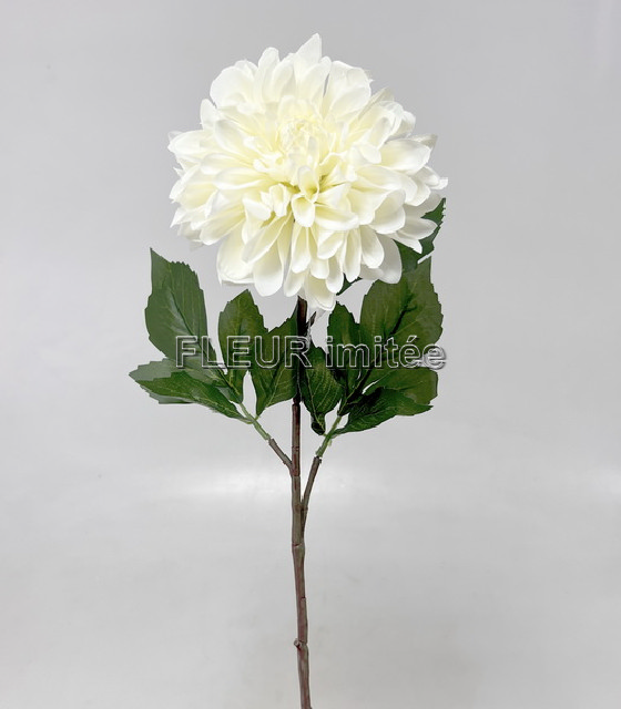 Jiřina x1 74cm 24/192