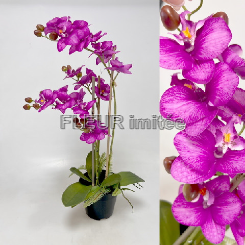 Orchidea 60cm latex v květníku