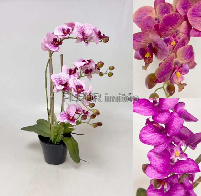 Orchidea 60cm latex v květníku