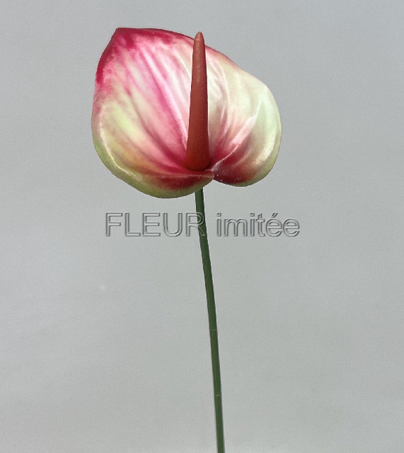 Anturie mini 46cm 36/576