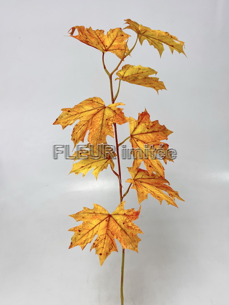 Větev javor 78cm 24/144