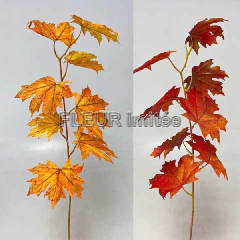 Větev javor 78cm 24/144