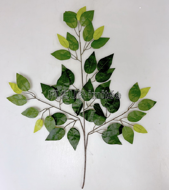 Větev fikus 68cm 1/600