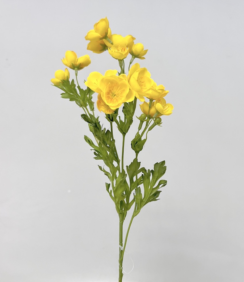 Měsíček 46cm  24/288