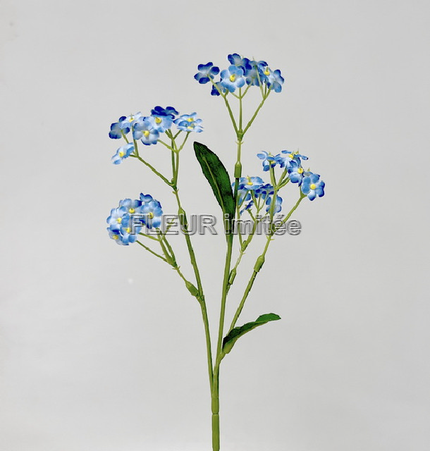 Pomněnka  x3 32cm  24/168