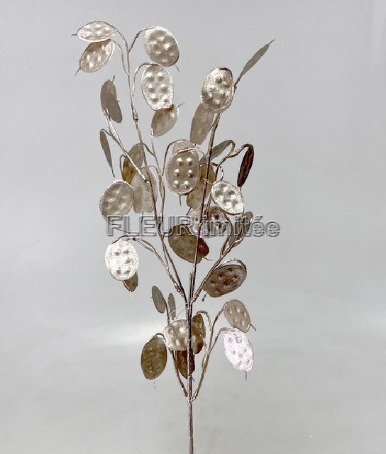 Penízky ván.  77cm  36/288