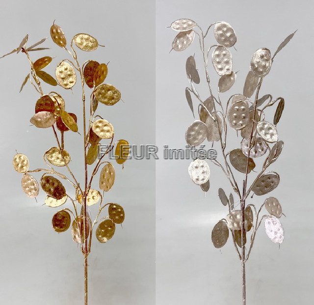 Penízky ván.  77cm  36/288