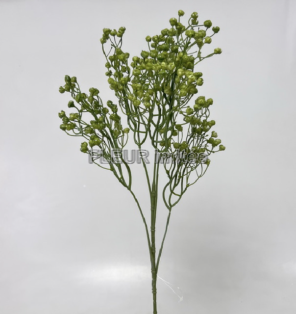 Gypsophila x5  70cm 12/96
