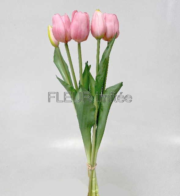 Tulipán x5 latex 42cm 12/96