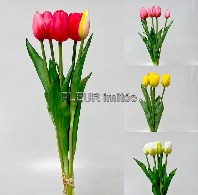 Tulipán x5 latex 42cm 12/96