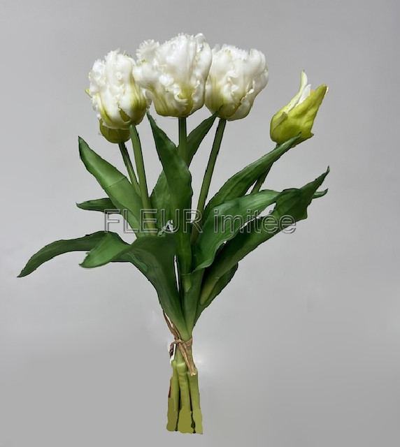 Tulipán x5 latex 30cm papouš.12/96