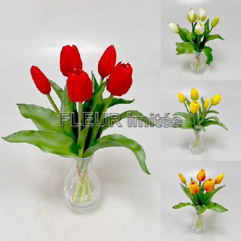 Tulipán x5 latex 30cm 12/96