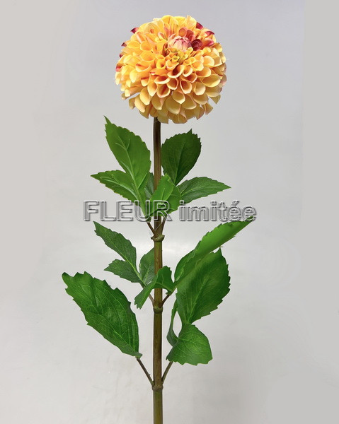 Jiřina x1 91cm 12/72