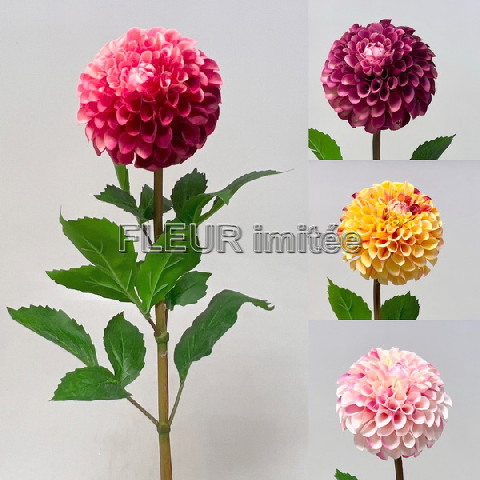 Jiřina x1 91cm 12/72